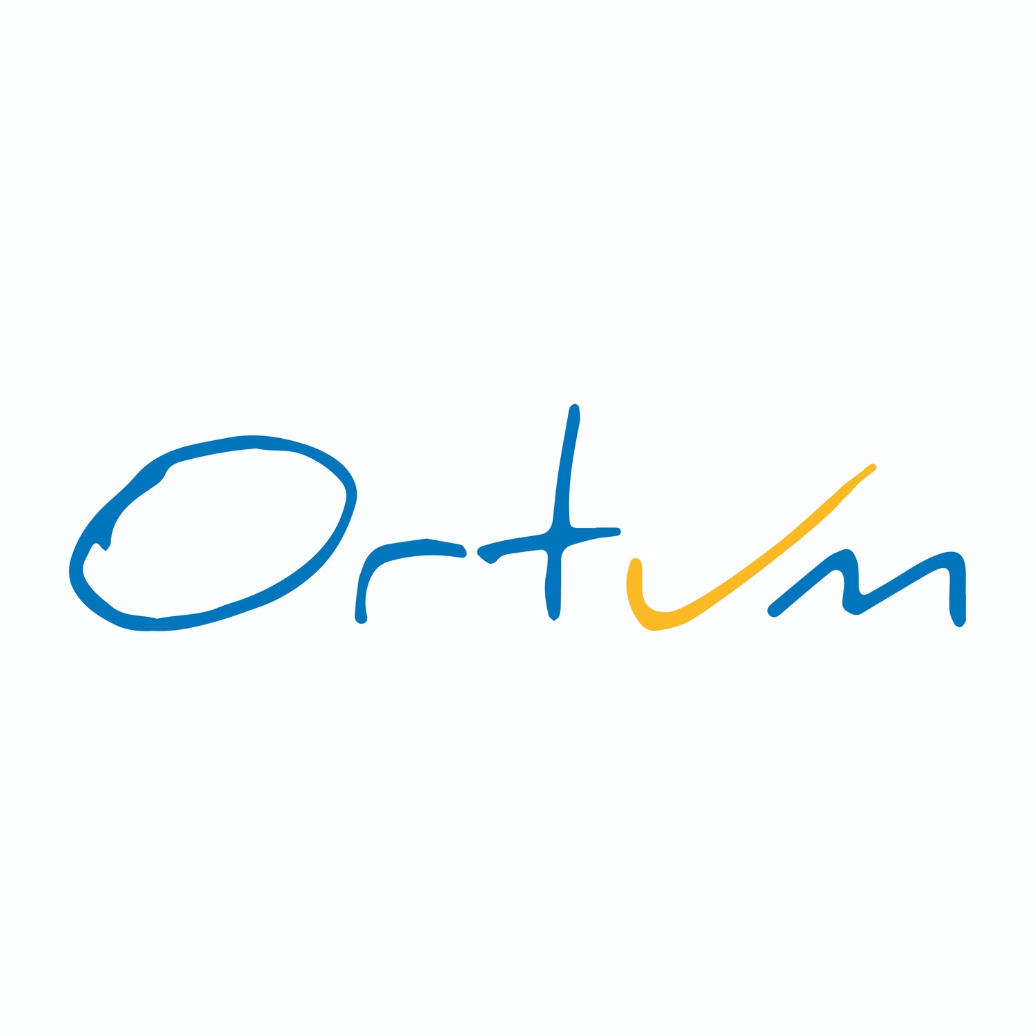 Ortum Consulting