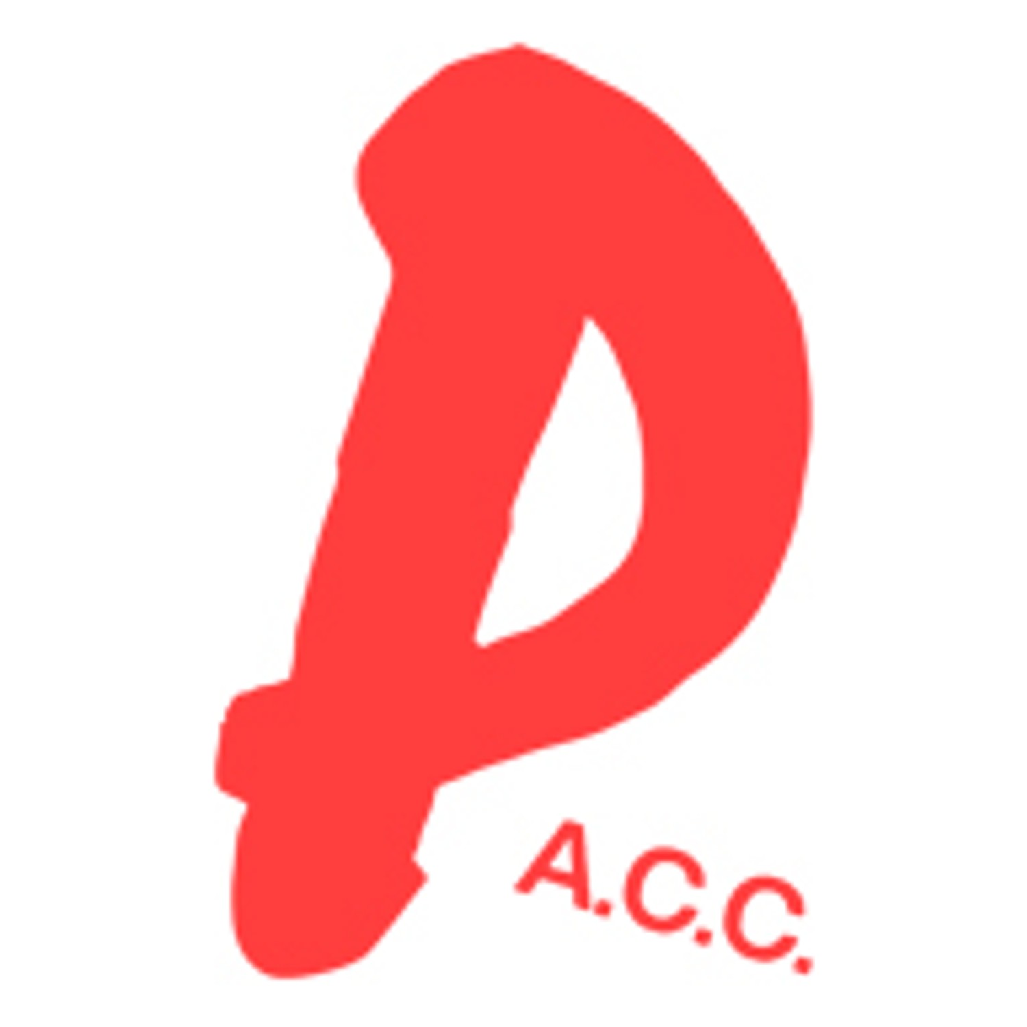 Princess A Creative Company