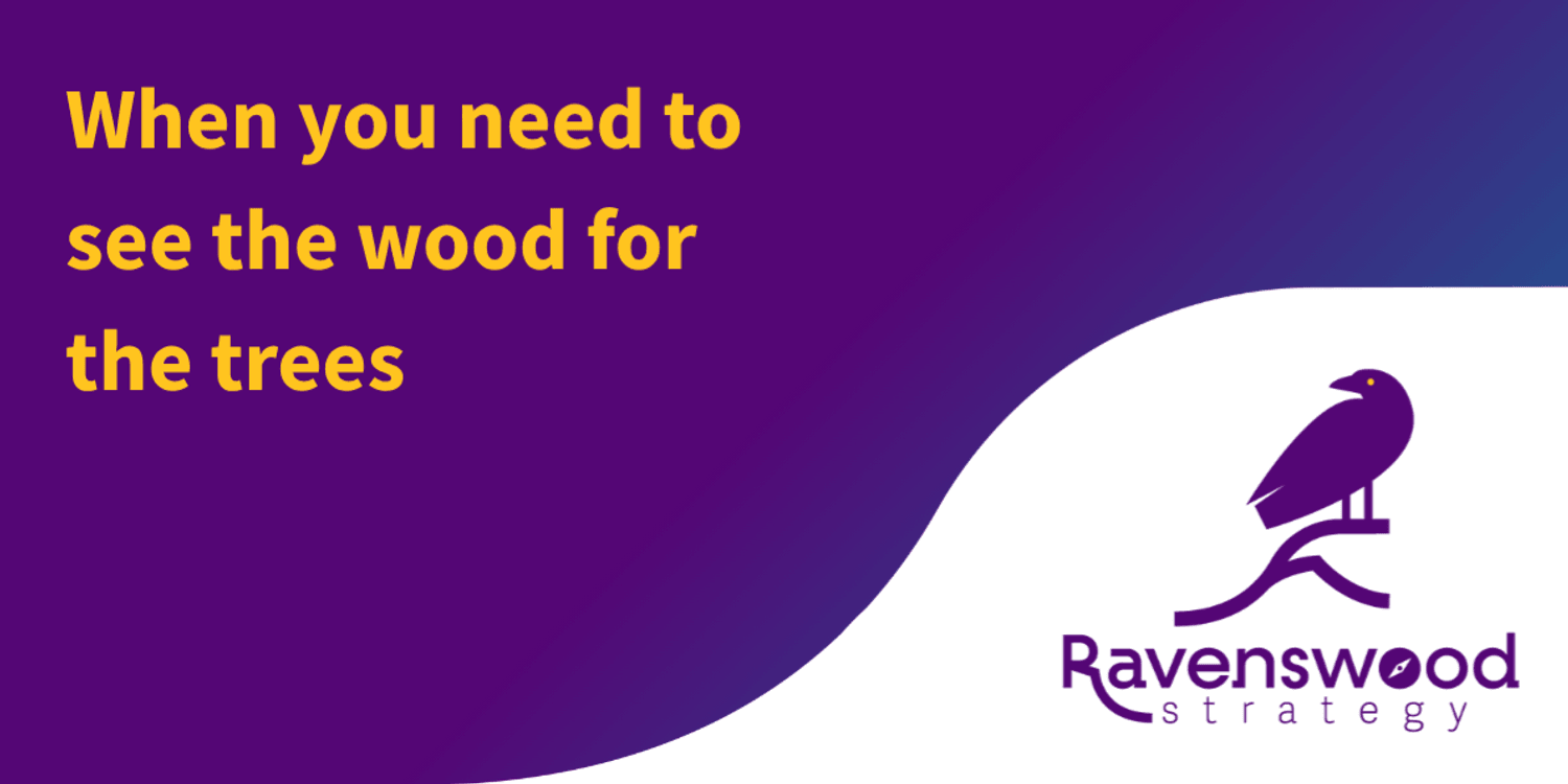 Ravenswood Strategy Limited